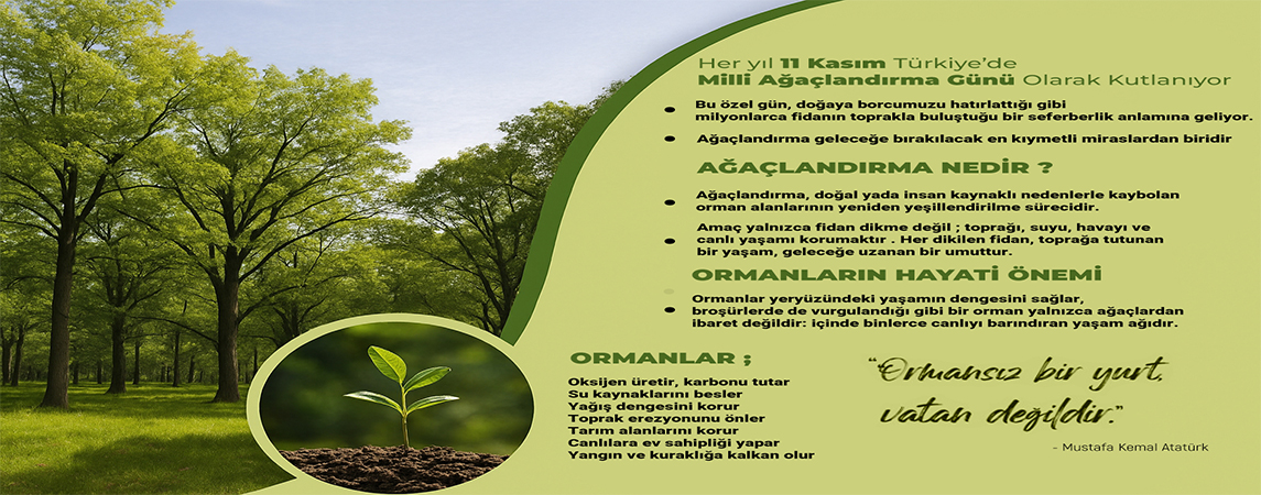 Her Yıl 11 Kasım Türkiye'de Milli Ağaçlandırma Günü Olarak Kutlanıyor