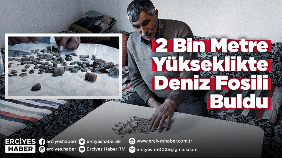2 Bin Metre Yükseklikte Deniz Fosili Buldu