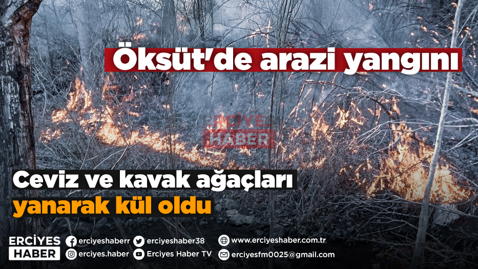 Öksüt'de arazi yangını